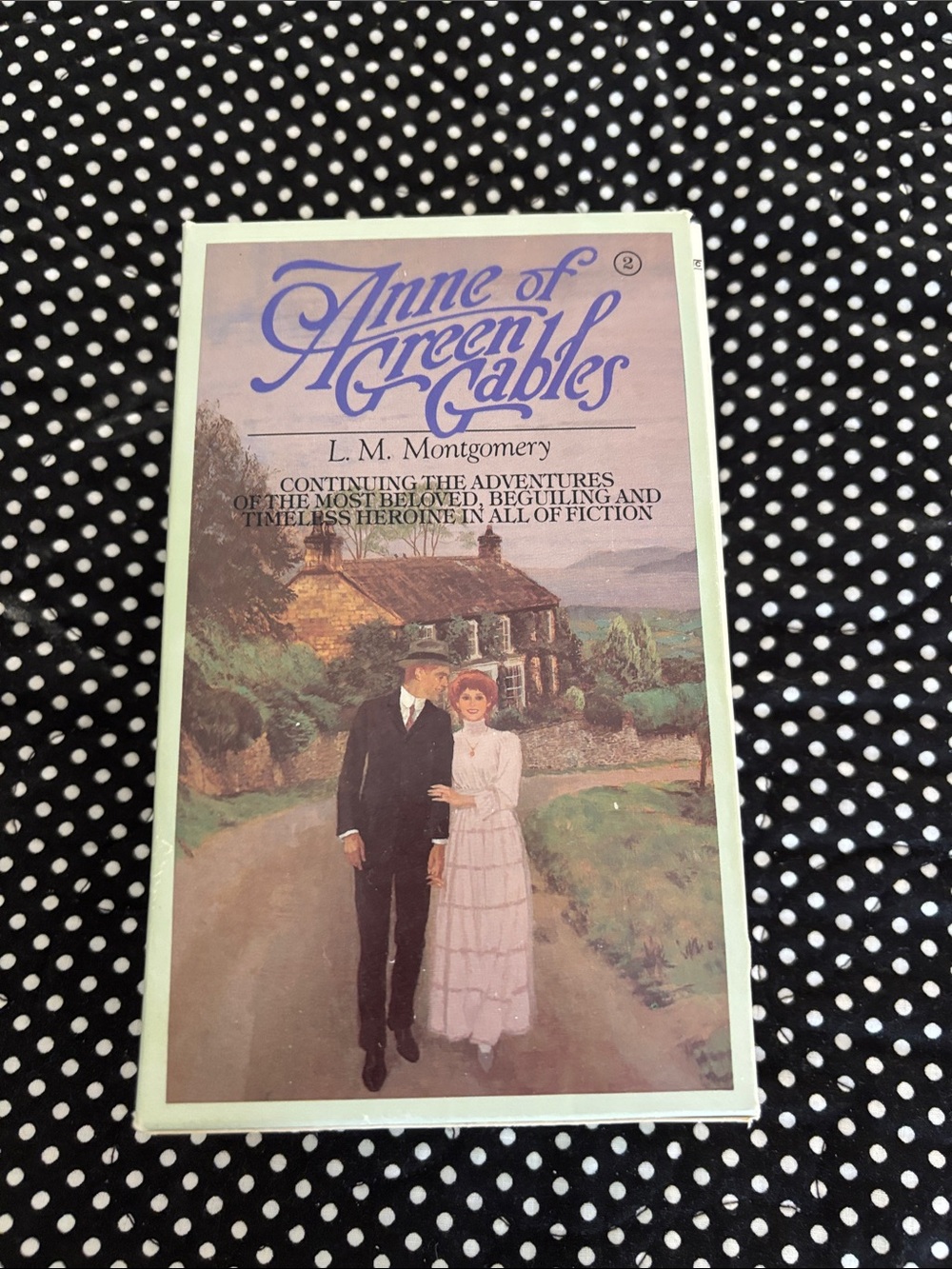 Anne of Green Gables 3 book set.